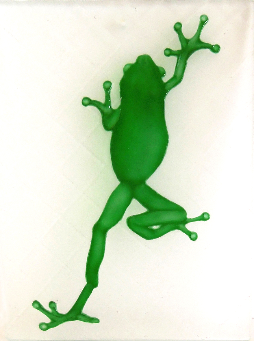 Climbing Frog Climbing Frog