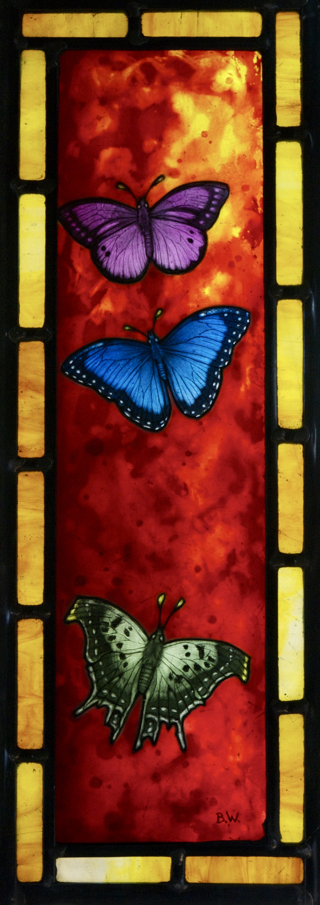 3 Butterflies 3 Butterflies